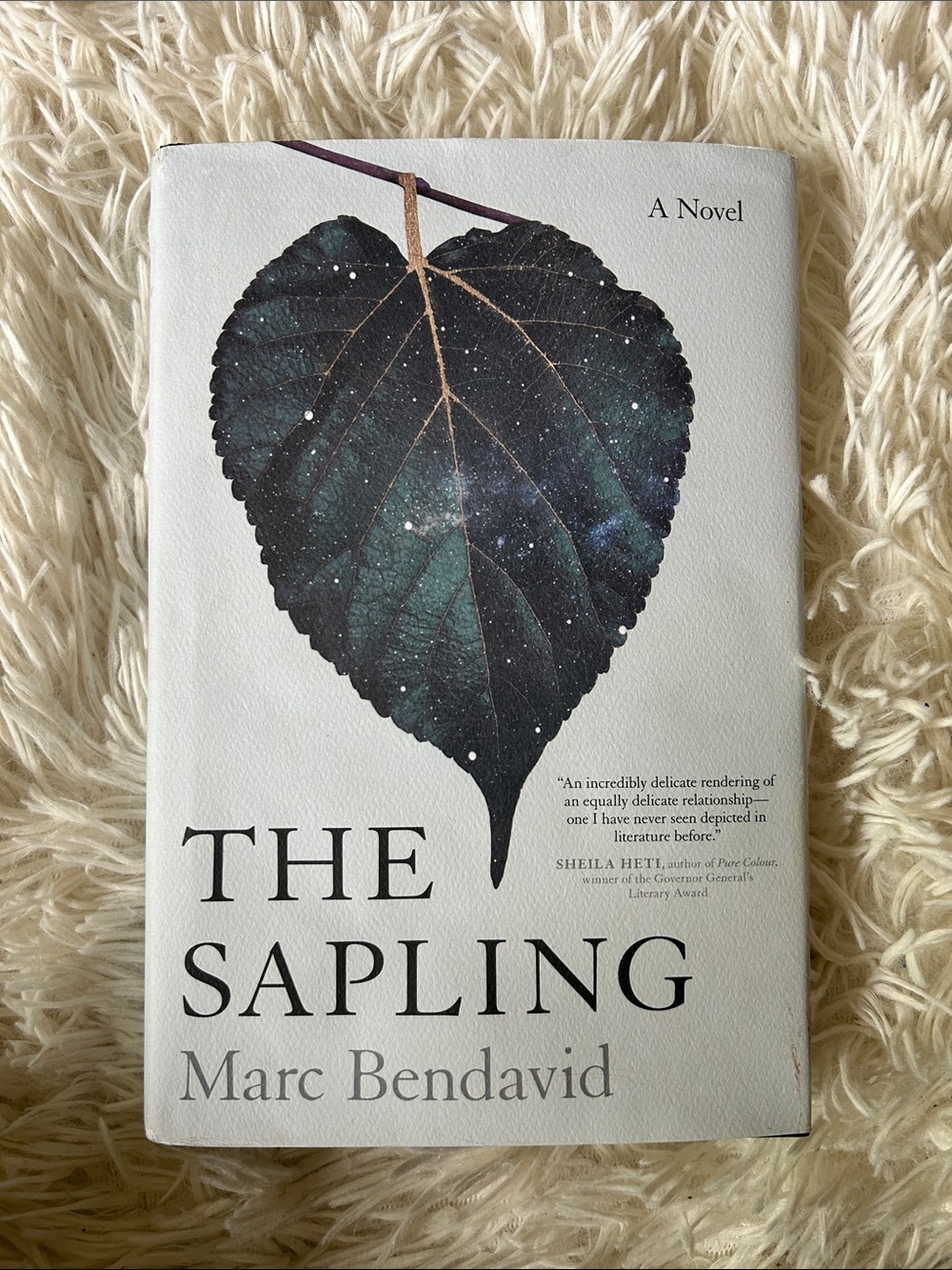 The Sapling by Marc Bendavid  Hardcover
